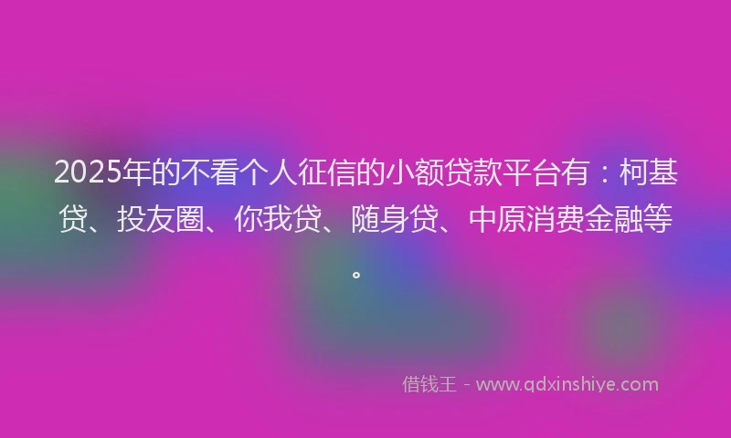 2025年的不看个人征信的小额贷款平台有：柯基贷、投友圈、你我贷、随身贷、中原消费金融等。