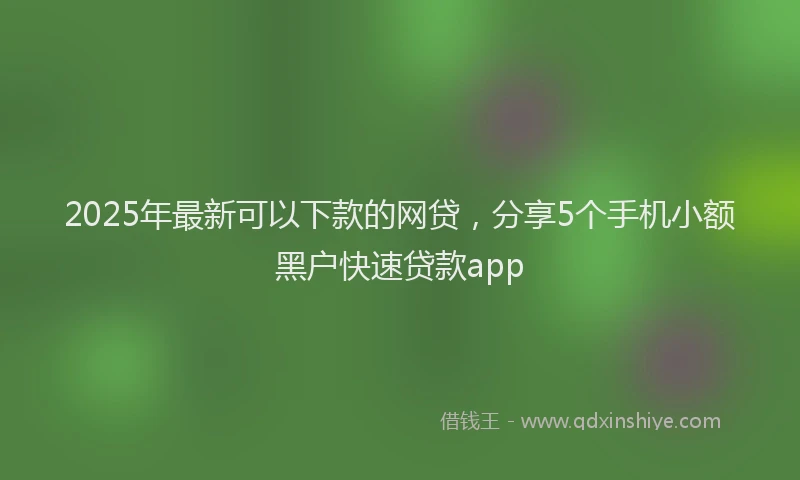 2025年最新可以下款的网贷，分享5个手机小额黑户快速贷款app