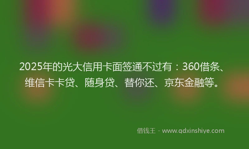 2025年的光大信用卡面签通不过有：360借条、维信卡卡贷、随身贷、替你还、京东金融等。