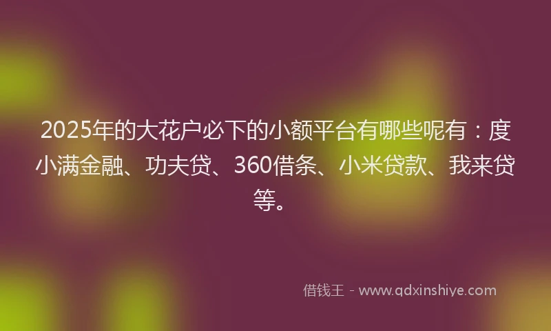 2025年的大花户必下的小额平台有哪些呢有：度小满金融、功夫贷、360借条、小米贷款、我来贷等。