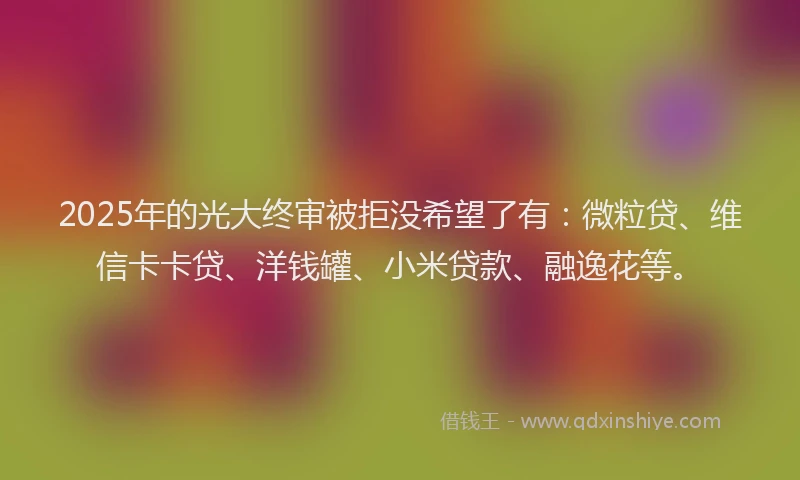 2025年的光大终审被拒没希望了有：微粒贷、维信卡卡贷、洋钱罐、小米贷款、融逸花等。