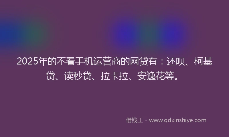 2025年的不看手机运营商的网贷有：还呗、柯基贷、读秒贷、拉卡拉、安逸花等。