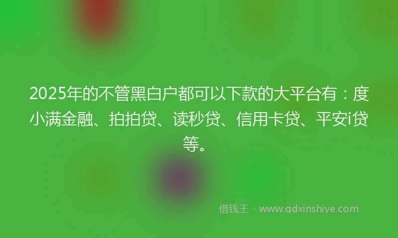 2025年的不管黑白户都可以下款的大平台有：度小满金融、拍拍贷、读秒贷、信用卡贷、平安i贷等。