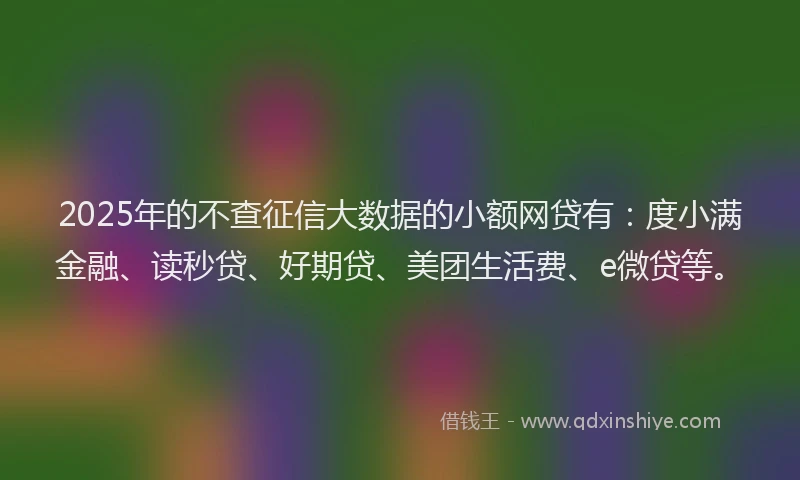 2025年的不查征信大数据的小额网贷有：度小满金融、读秒贷、好期贷、美团生活费、e微贷等。