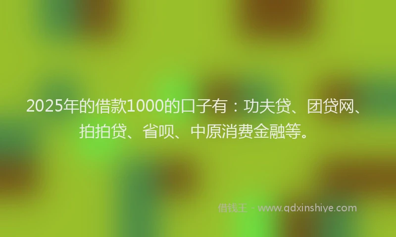 2025年的借款1000的口子有：功夫贷、团贷网、拍拍贷、省呗、中原消费金融等。
