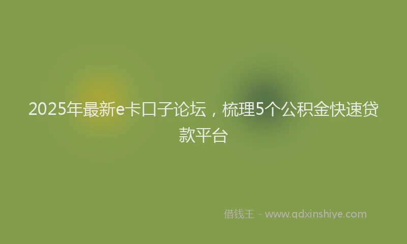 2025年最新e卡口子论坛，梳理5个公积金快速贷款平台
