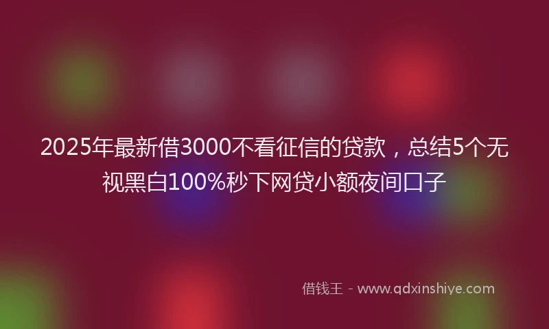 2025年最新借3000不看征信的贷款，总结5个无视黑白100%秒下网贷小额夜间口子