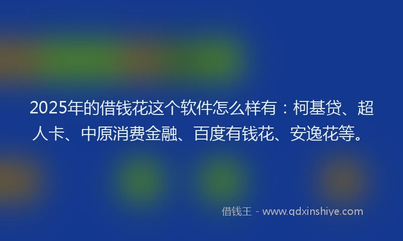 2025年的借钱花这个软件怎么样有：柯基贷、超人卡、中原消费金融、百度有钱花、安逸花等。