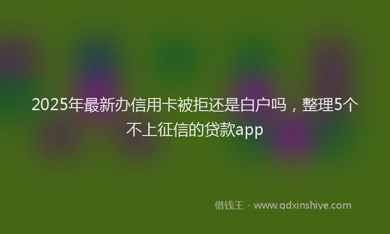 2025年最新办信用卡被拒还是白户吗，整理5个不上征信的贷款app