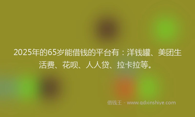 2025年的65岁能借钱的平台有：洋钱罐、美团生活费、花呗、人人贷、拉卡拉等。