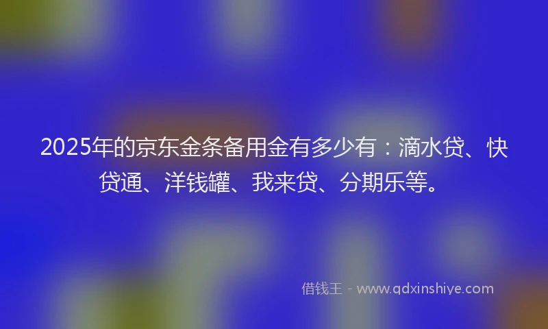 2025年的京东金条备用金有多少有：滴水贷、快贷通、洋钱罐、我来贷、分期乐等。