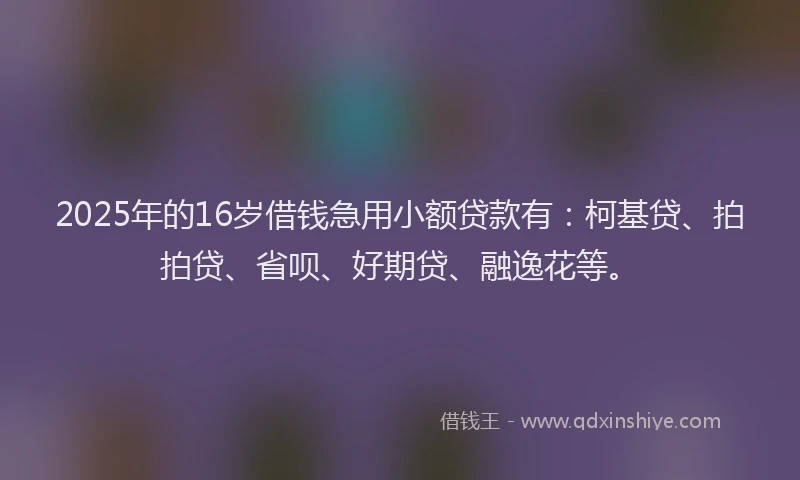 2025年的16岁借钱急用小额贷款有：柯基贷、拍拍贷、省呗、好期贷、融逸花等。