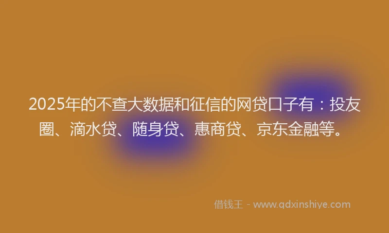 2025年的不查大数据和征信的网贷口子有：投友圈、滴水贷、随身贷、惠商贷、京东金融等。