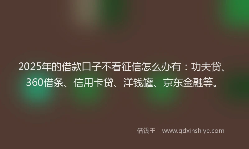 2025年的借款口子不看征信怎么办有：功夫贷、360借条、信用卡贷、洋钱罐、京东金融等。