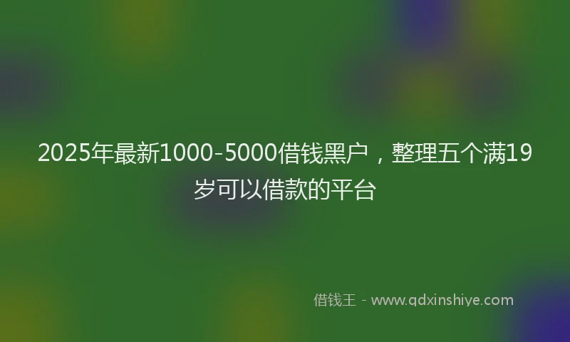 2025年最新1000-5000借钱黑户，整理五个满19岁可以借款的平台