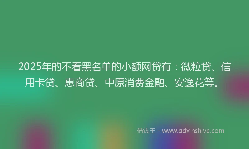 2025年的不看黑名单的小额网贷有：微粒贷、信用卡贷、惠商贷、中原消费金融、安逸花等。
