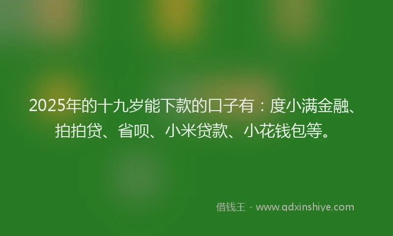 2025年的十九岁能下款的口子有：度小满金融、拍拍贷、省呗、小米贷款、小花钱包等。