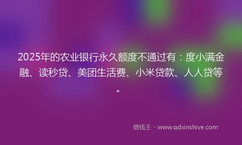 2025年的农业银行永久额度不通过有：度小满金融、读秒贷、美团生活费、小米贷款、人人贷等。
