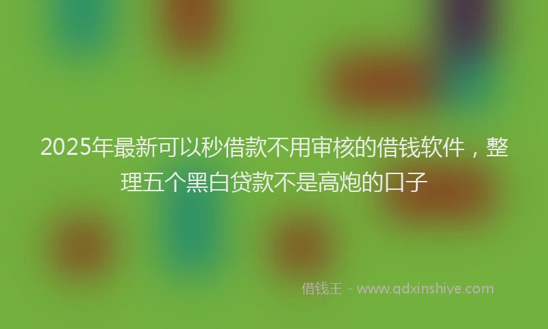 2025年最新可以秒借款不用审核的借钱软件，整理五个黑白贷款不是高炮的口子