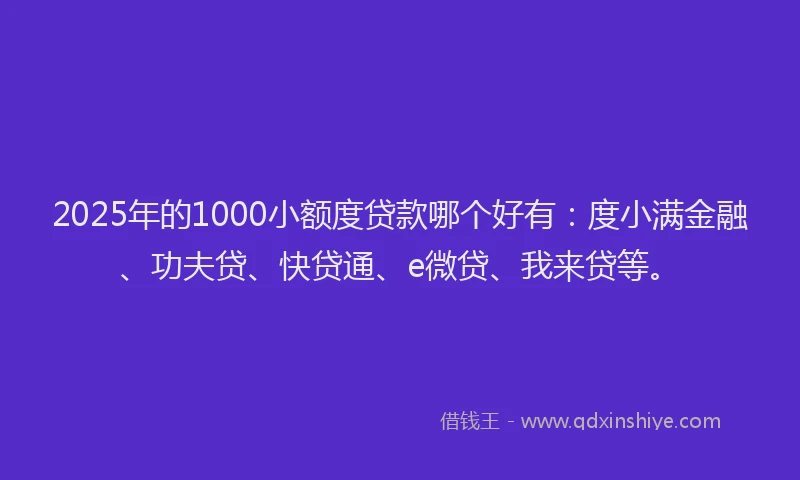 2025年的1000小额度贷款哪个好有：度小满金融、功夫贷、快贷通、e微贷、我来贷等。