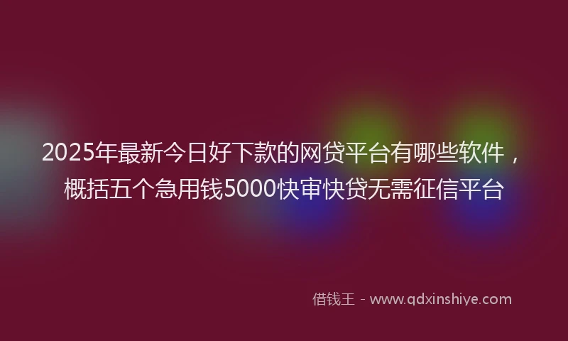 2025年最新今日好下款的网贷平台有哪些软件，概括五个急用钱5000快审快贷无需征信平台