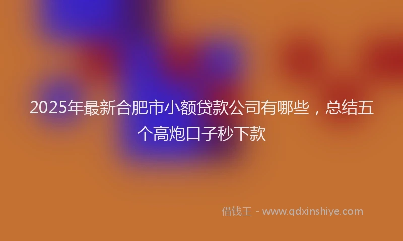 2025年最新合肥市小额贷款公司有哪些，总结五个高炮口子秒下款