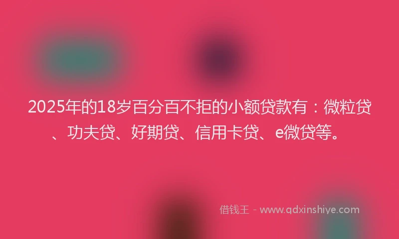 2025年的18岁百分百不拒的小额贷款有：微粒贷、功夫贷、好期贷、信用卡贷、e微贷等。