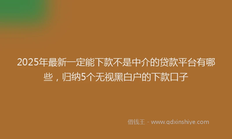 2025年最新一定能下款不是中介的贷款平台有哪些，归纳5个无视黑白户的下款口子