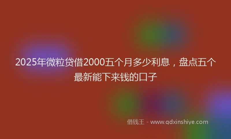 2025年微粒贷借2000五个月多少利息，盘点五个最新能下来钱的口子