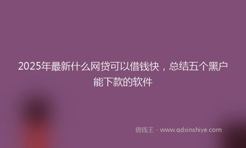 2025年最新什么网贷可以借钱快，总结五个黑户能下款的软件