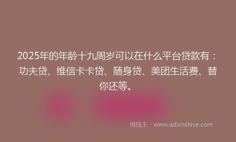 2025年的年龄十九周岁可以在什么平台贷款有：功夫贷、维信卡卡贷、随身贷、美团生活费、替你还等。