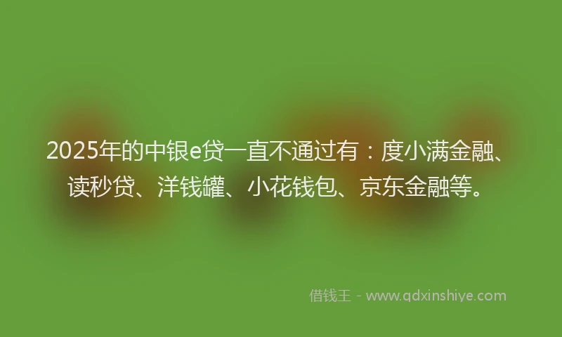 2025年的中银e贷一直不通过有：度小满金融、读秒贷、洋钱罐、小花钱包、京东金融等。