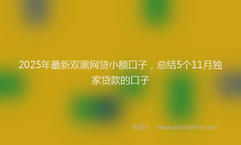 2025年最新双黑网贷小额口子，总结5个11月独家贷款的口子