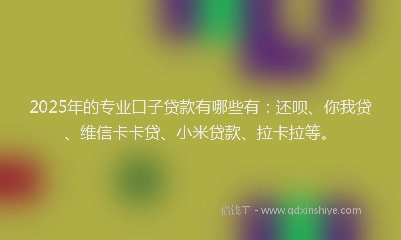 2025年的专业口子贷款有哪些有：还呗、你我贷、维信卡卡贷、小米贷款、拉卡拉等。