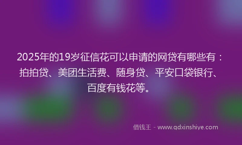 2025年的19岁征信花可以申请的网贷有哪些有：拍拍贷、美团生活费、随身贷、平安口袋银行、百度有钱花等。