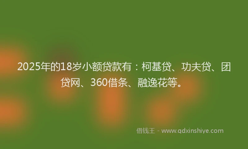 2025年的18岁小额贷款有：柯基贷、功夫贷、团贷网、360借条、融逸花等。