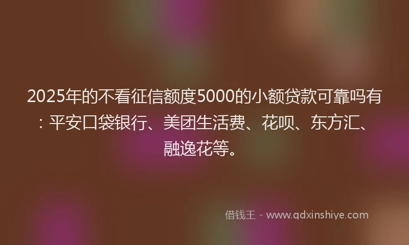 2025年的不看征信额度5000的小额贷款可靠吗有：平安口袋银行、美团生活费、花呗、东方汇、融逸花等。