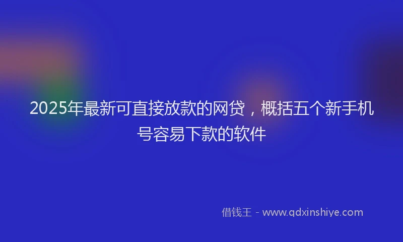 2025年最新可直接放款的网贷，概括五个新手机号容易下款的软件
