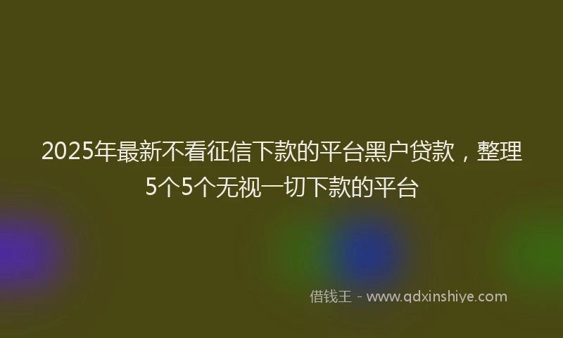 2025年最新不看征信下款的平台黑户贷款，整理5个5个无视一切下款的平台