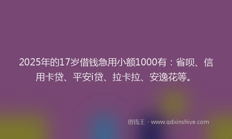 2025年的17岁借钱急用小额1000有：省呗、信用卡贷、平安i贷、拉卡拉、安逸花等。