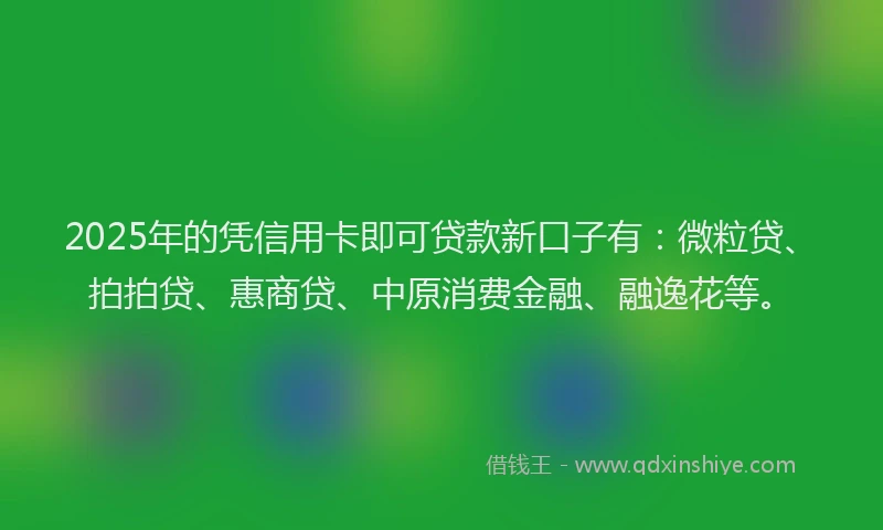 2025年的凭信用卡即可贷款新口子有：微粒贷、拍拍贷、惠商贷、中原消费金融、融逸花等。
