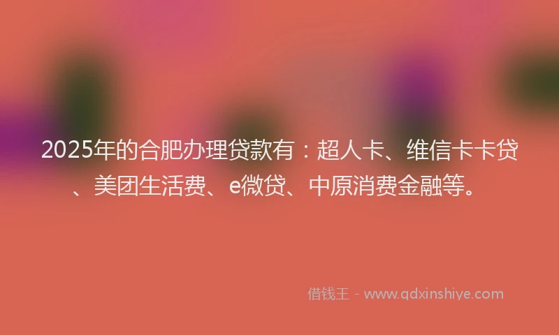 2025年的合肥办理贷款有：超人卡、维信卡卡贷、美团生活费、e微贷、中原消费金融等。