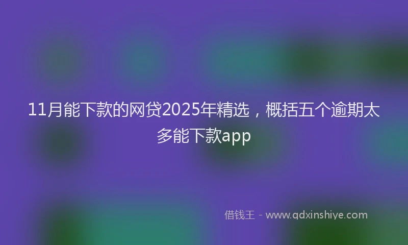 11月能下款的网贷2025年精选，概括五个逾期太多能下款app