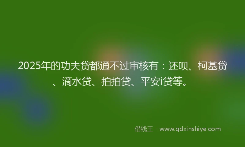 2025年的功夫贷都通不过审核有：还呗、柯基贷、滴水贷、拍拍贷、平安i贷等。