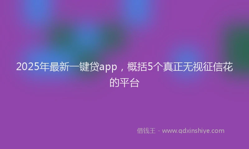 2025年最新一键贷app，概括5个真正无视征信花的平台