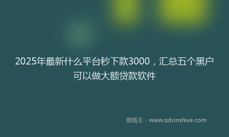 2025年最新什么平台秒下款3000，汇总五个黑户可以做大额贷款软件