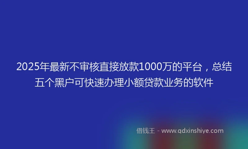 2025年最新不审核直接放款1000万的平台，总结五个黑户可快速办理小额贷款业务的软件