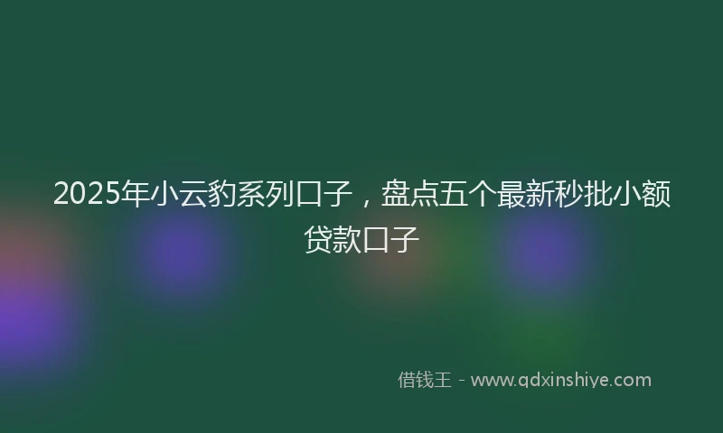 2025年小云豹系列口子，盘点五个最新秒批小额贷款口子