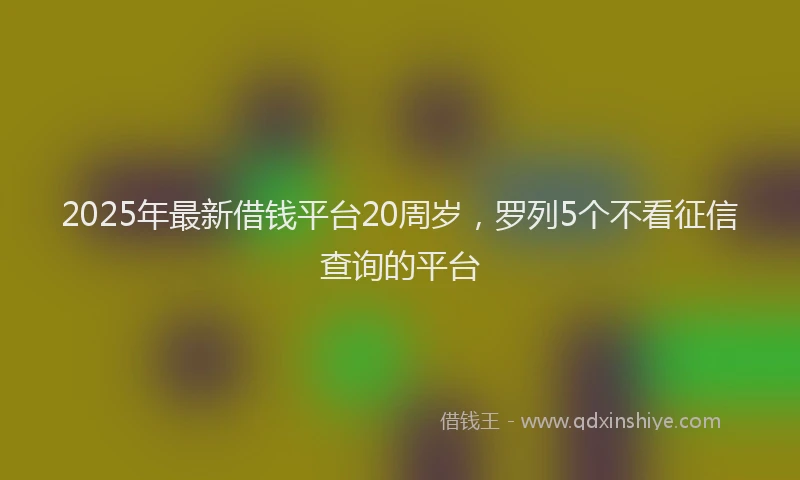 2025年最新借钱平台20周岁，罗列5个不看征信查询的平台