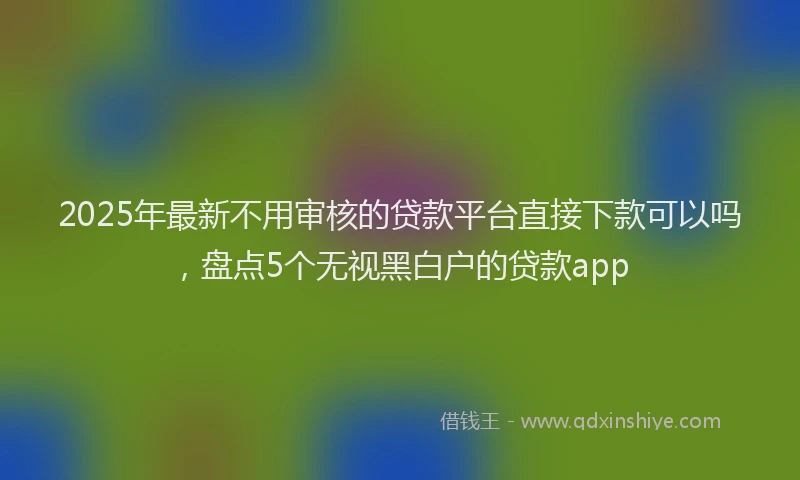 2025年最新不用审核的贷款平台直接下款可以吗，盘点5个无视黑白户的贷款app